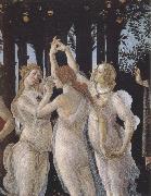 Sandro Botticelli La Primavera (mk39) France oil painting reproduction